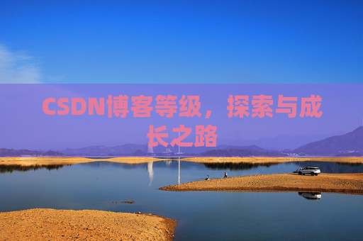 CSDN博客等级，探索与成长之路